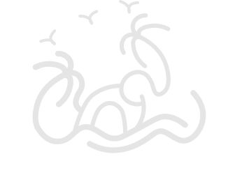 Logo My Lanka Tourism